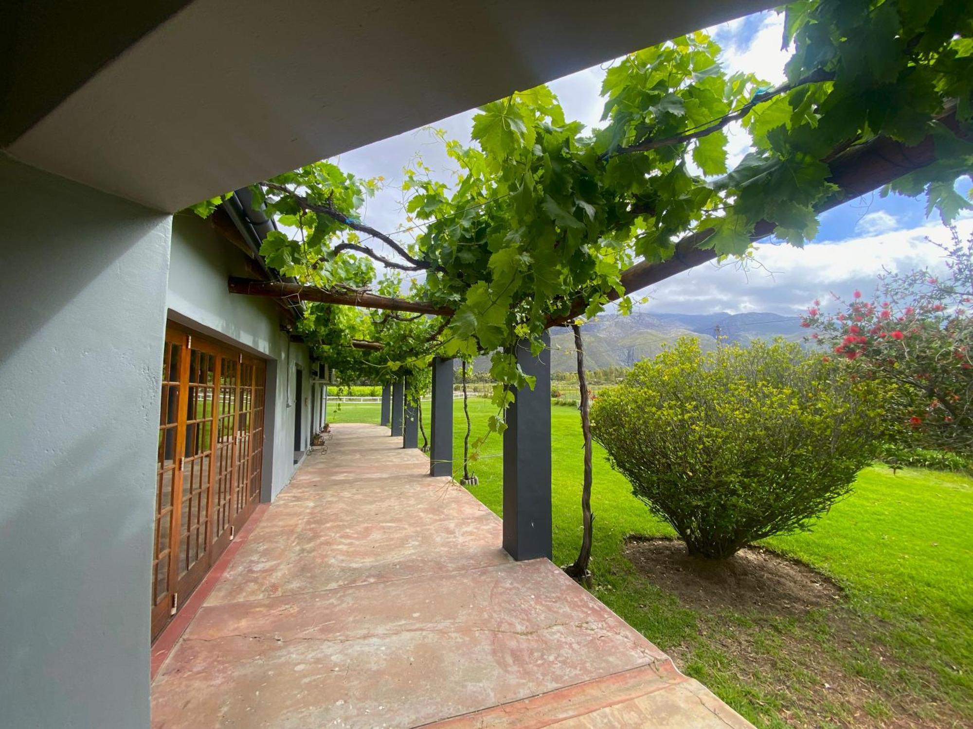 Oaksrest Vineyards Guest Farm Hotell Ladismith Eksteriør bilde